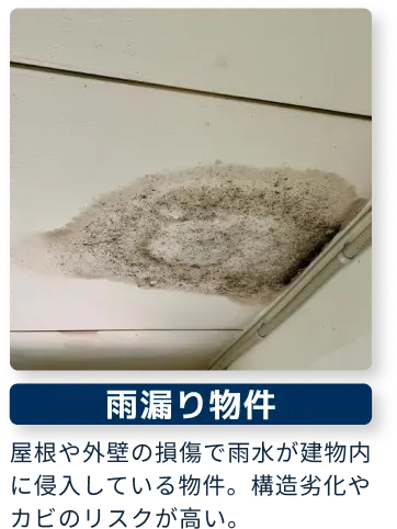 雨漏り物件